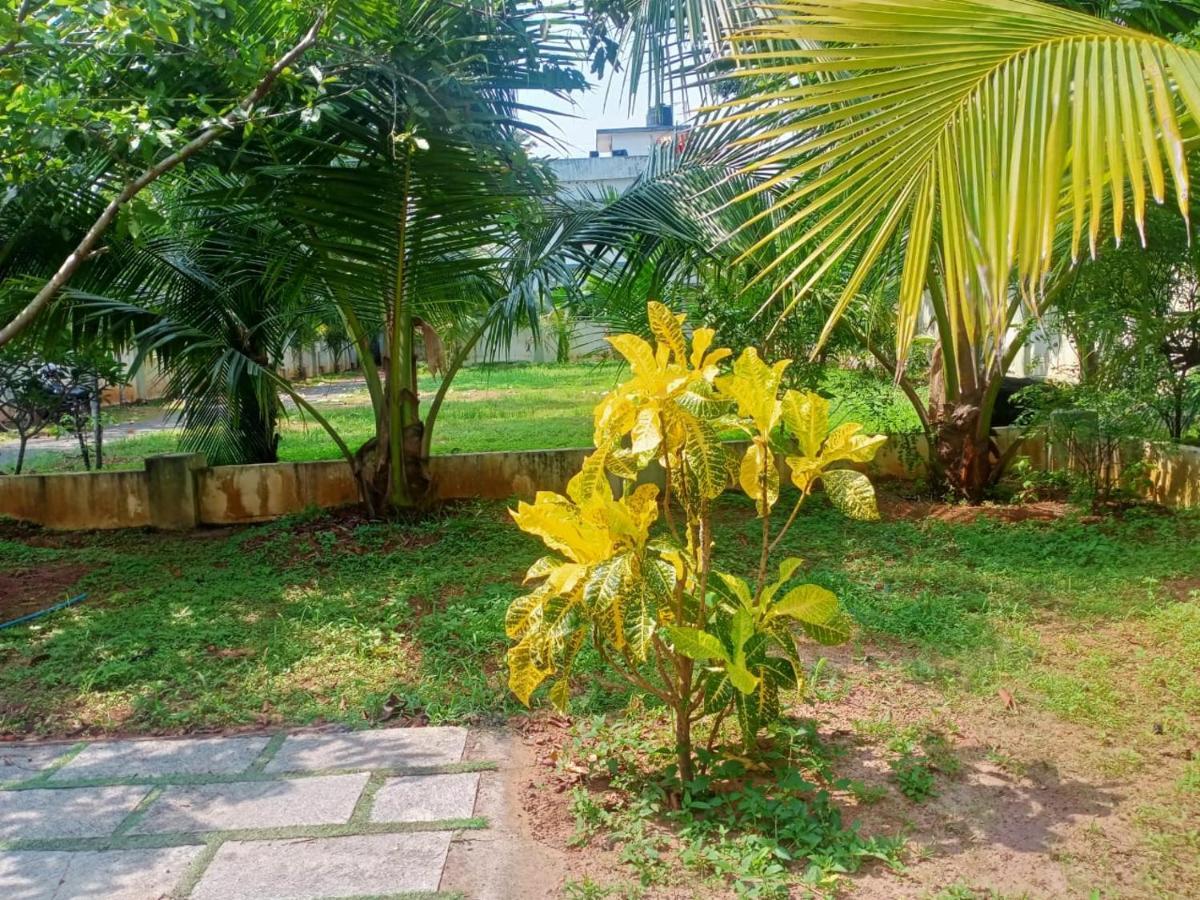 Sinai Homestay Alappuzha Ngoại thất bức ảnh